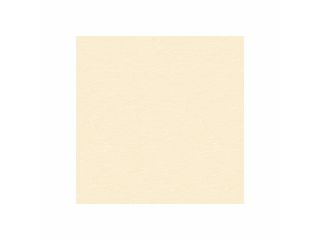 Aquastone Antirutsch - Sandfarben; 1,65 m Breite, 1,8 mm, Rolle 25