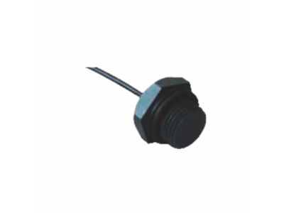 Temperatursonde - PT 100 Seko (Gewinde)