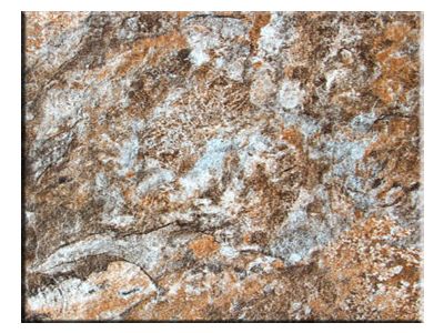 ALKORPLAN TOUCH - Authentisch; 1,65m Breite, 2,0mm, Meterware